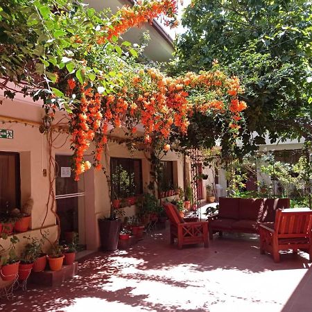 Hostal Aramayo 图皮萨 外观 照片