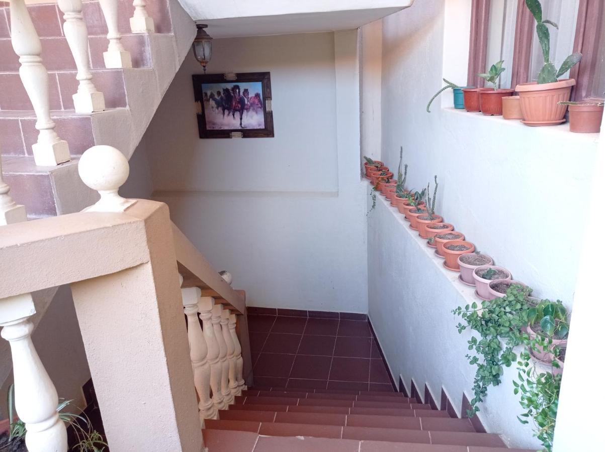 Hostal Aramayo 图皮萨 外观 照片