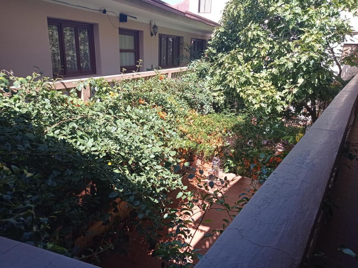 Hostal Aramayo 图皮萨 外观 照片