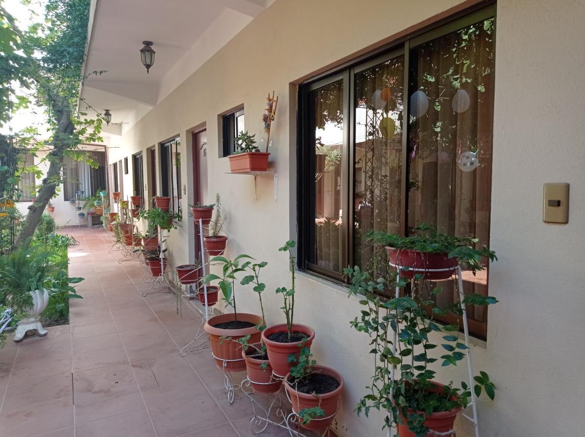 Hostal Aramayo 图皮萨 外观 照片